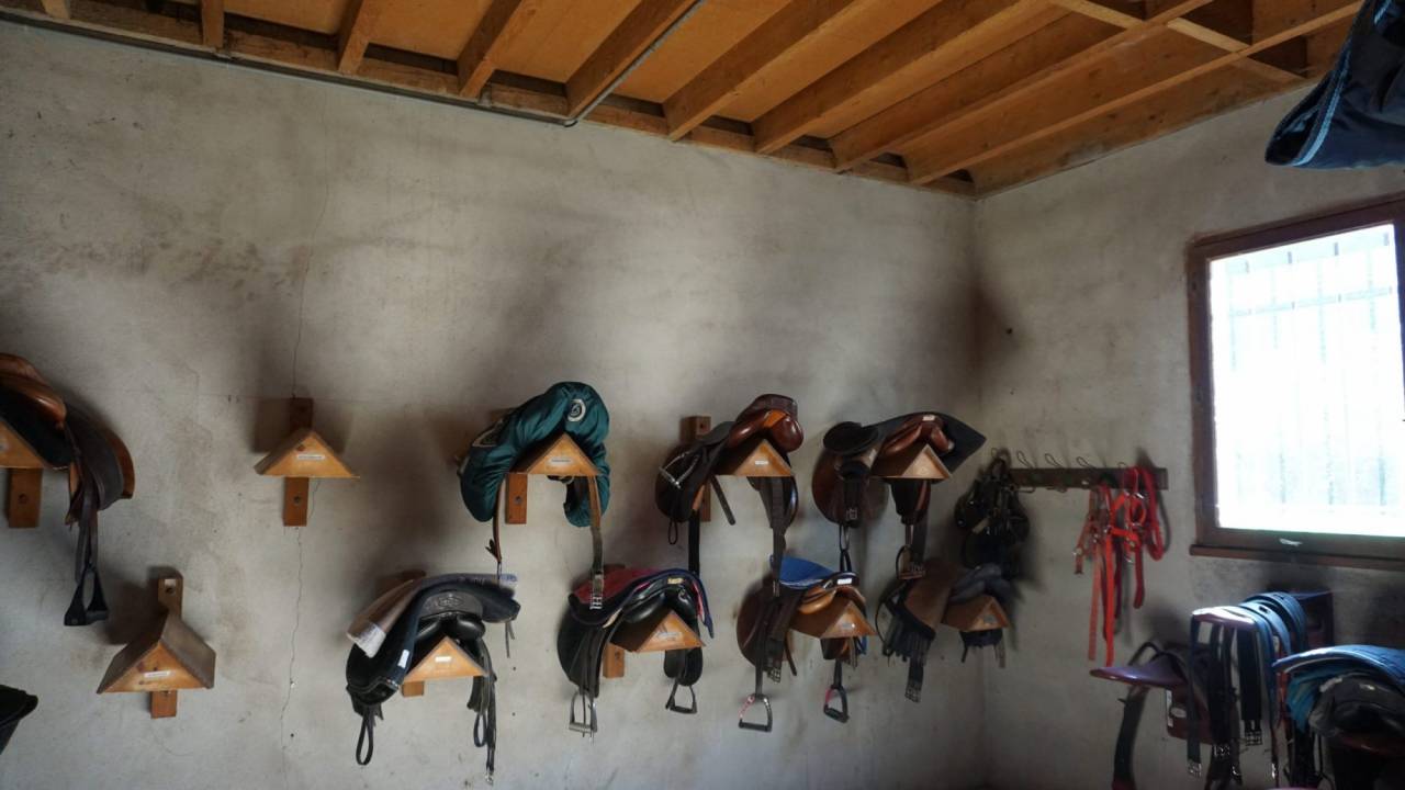 Equestrian Bed and Breakfast  Nièvre