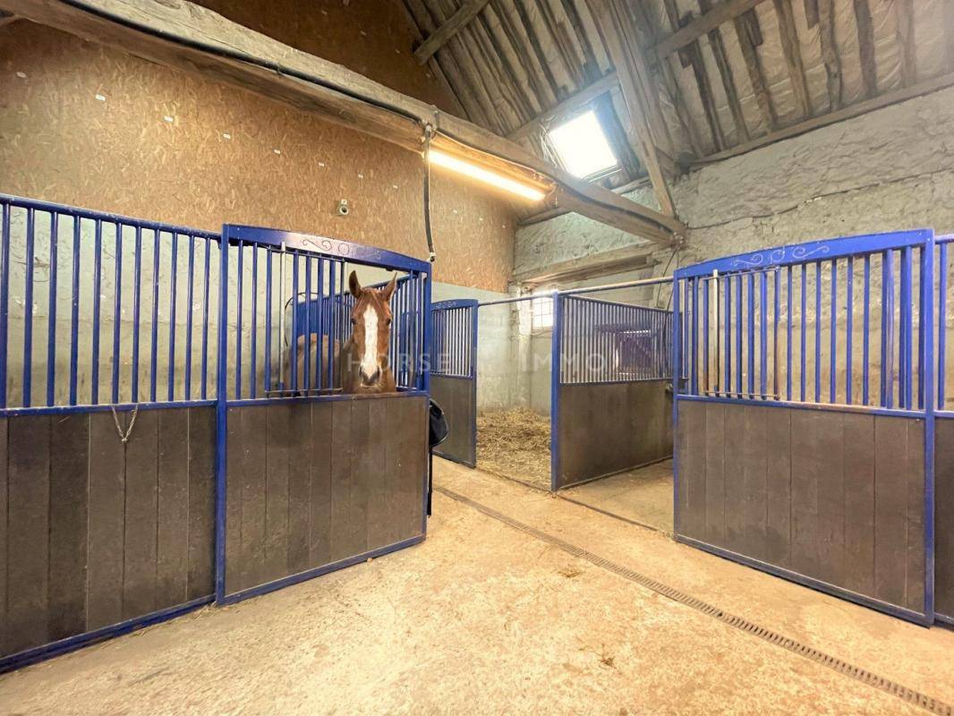 Stud farm  Yonne