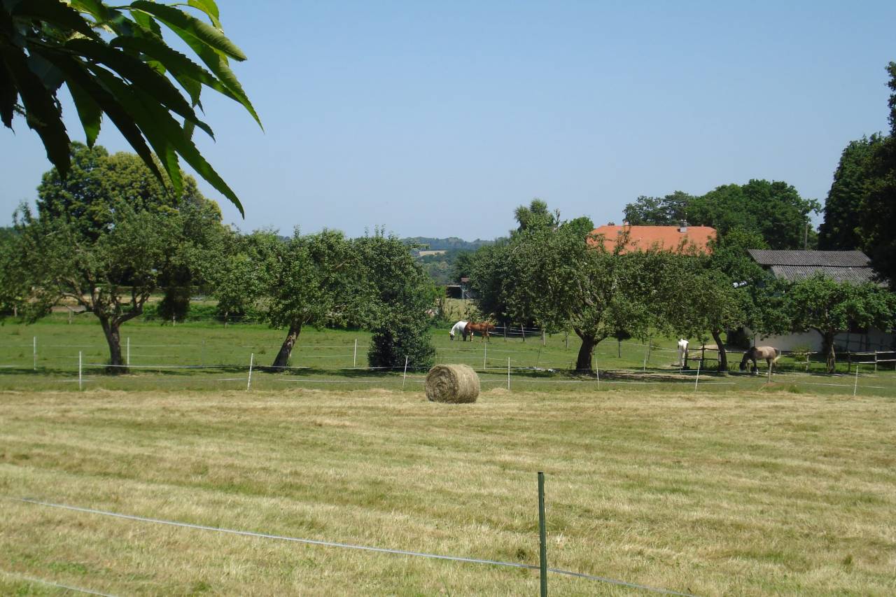 Equestrian Property Creuse
