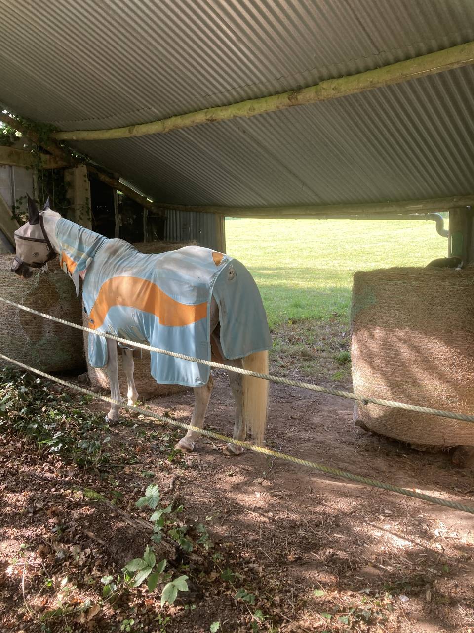 Equestrian Property Creuse