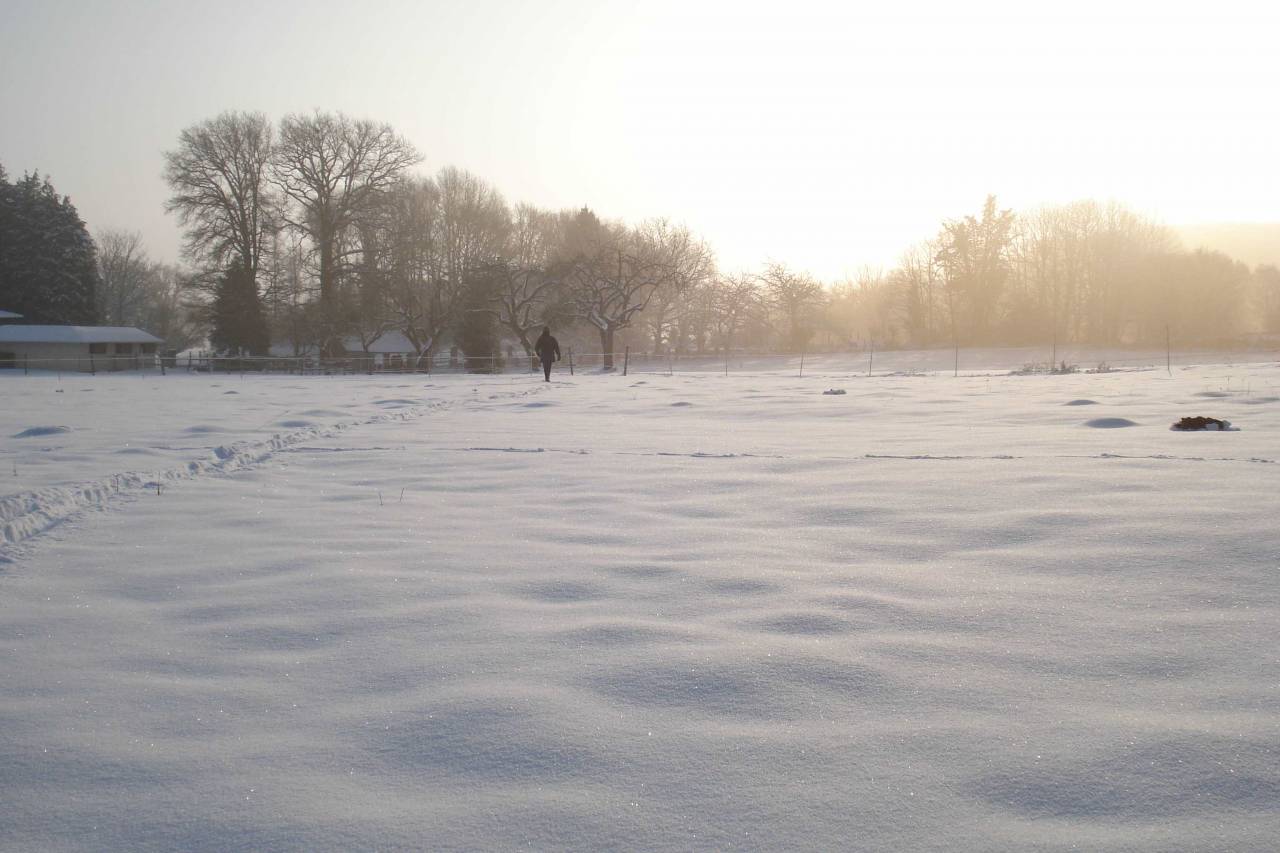 Equestrian Property Creuse