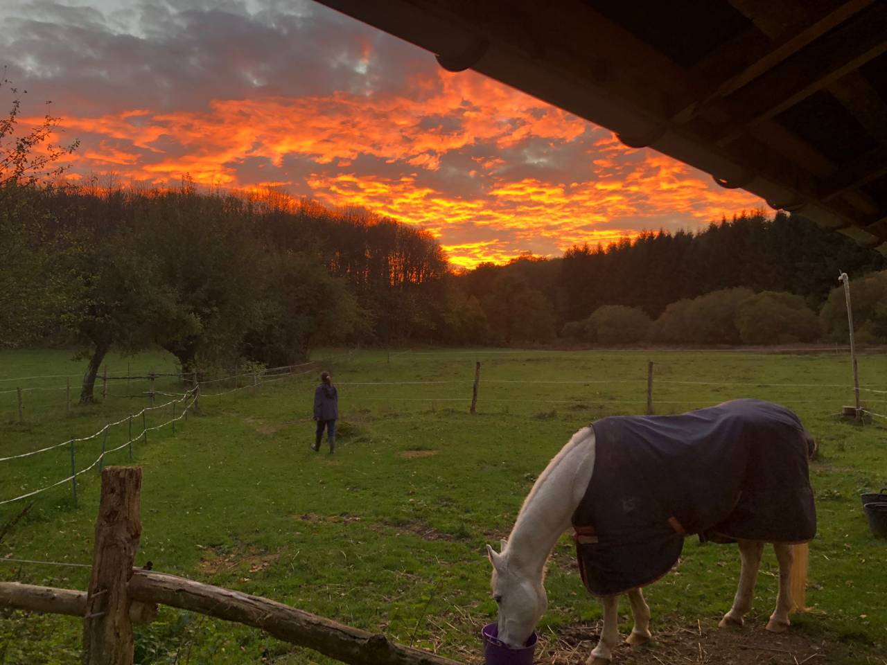 Equestrian Property Creuse