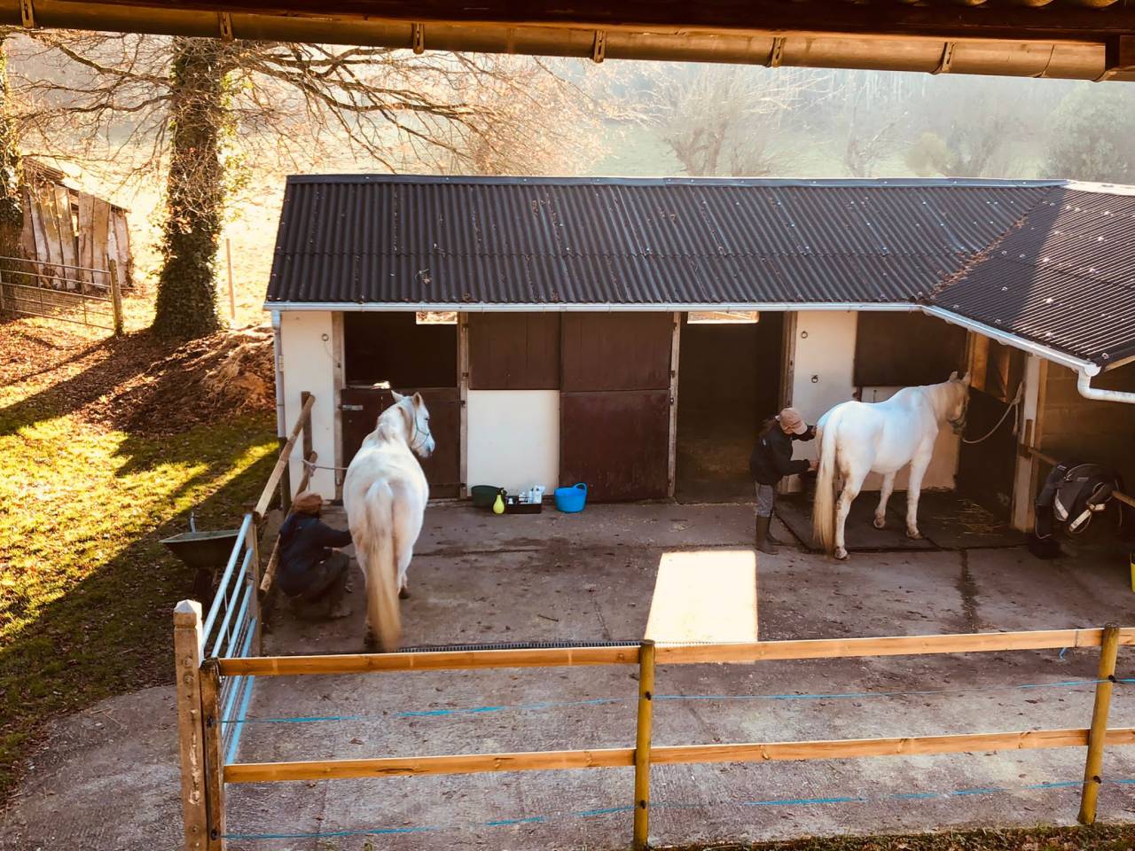 Equestrian Property Creuse