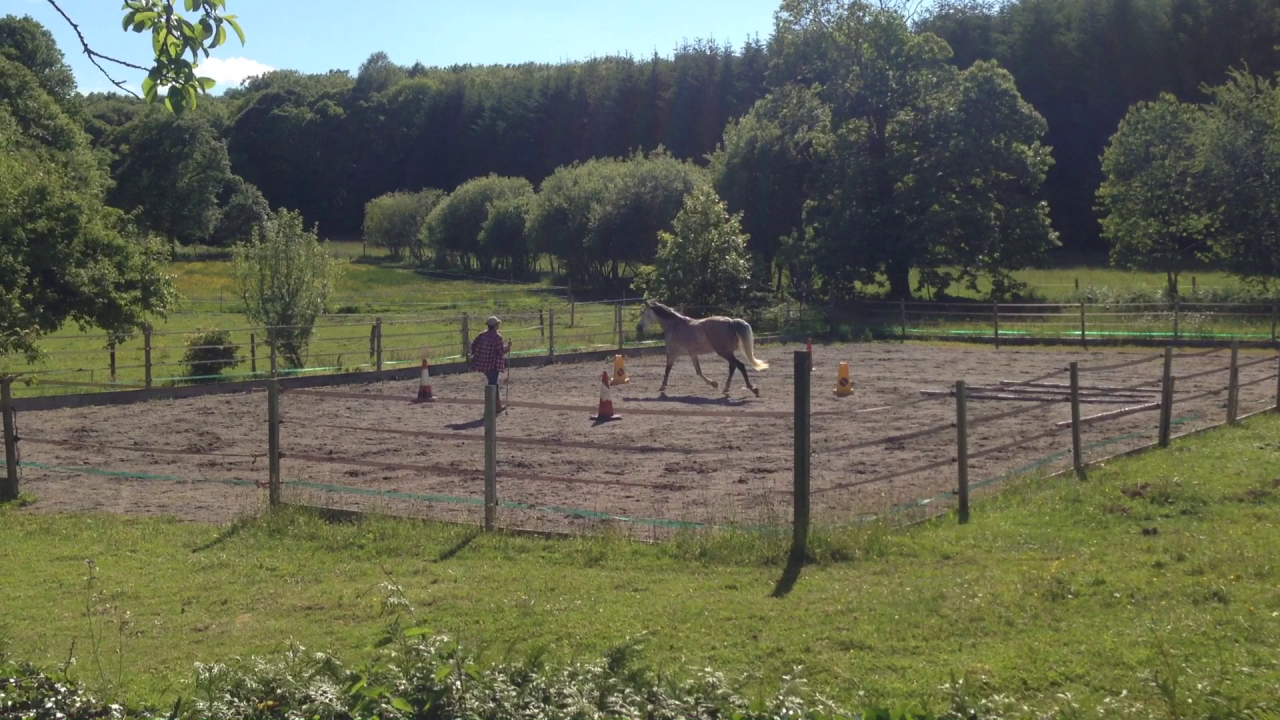 Equestrian Property Creuse