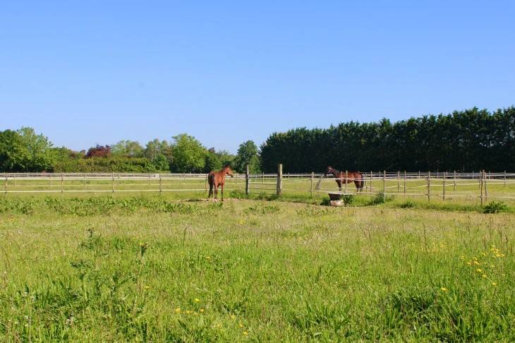 Equestrian property  Charente-Maritime