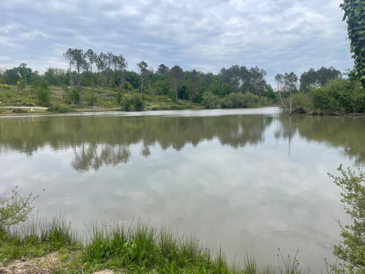 Holiday equestrian property  Dordogne