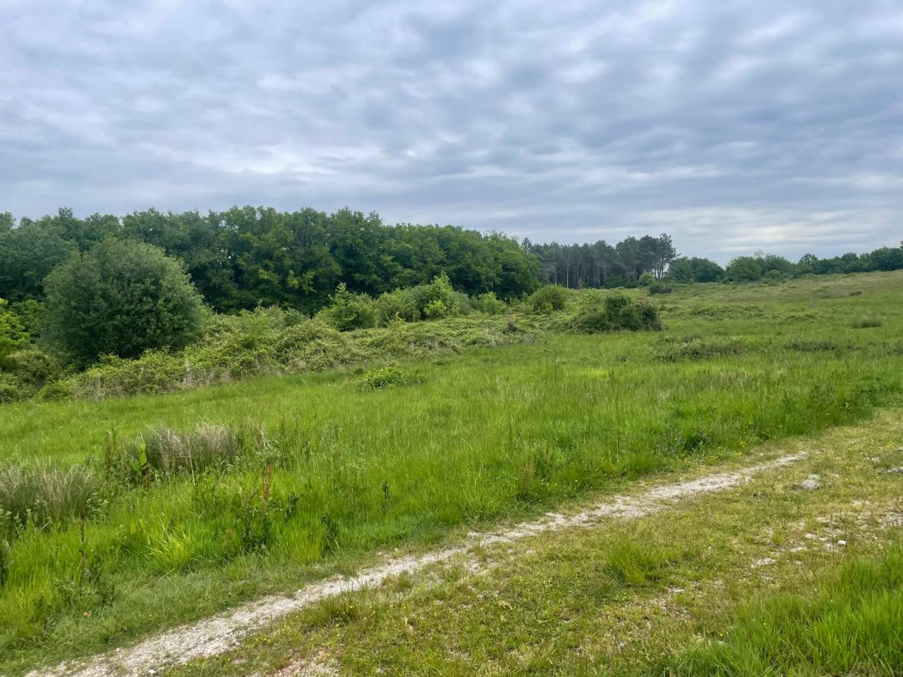 Holiday equestrian property  Dordogne