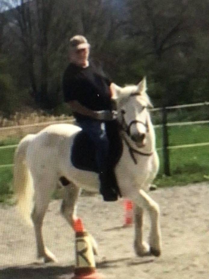 Gelding Camargue For sale 2010 White