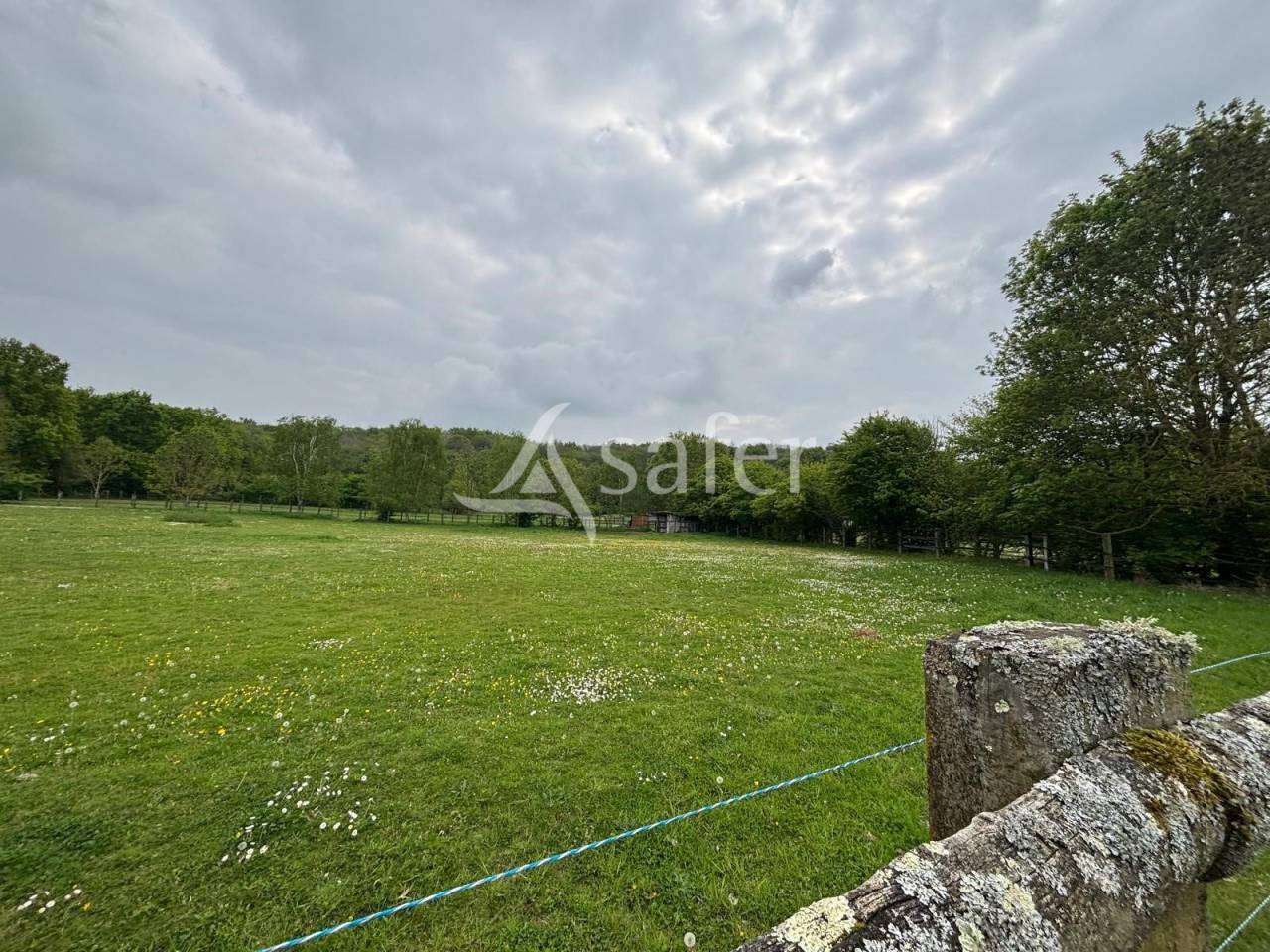 Equestrian property  Essonne