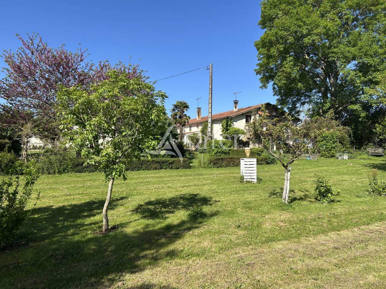 Vegetable farm  Lot-et-Garonne