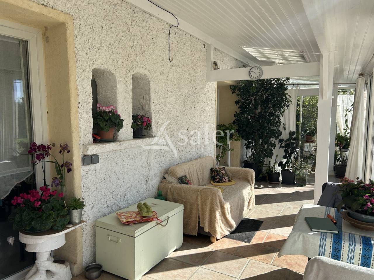 Vegetable farm  Lot-et-Garonne