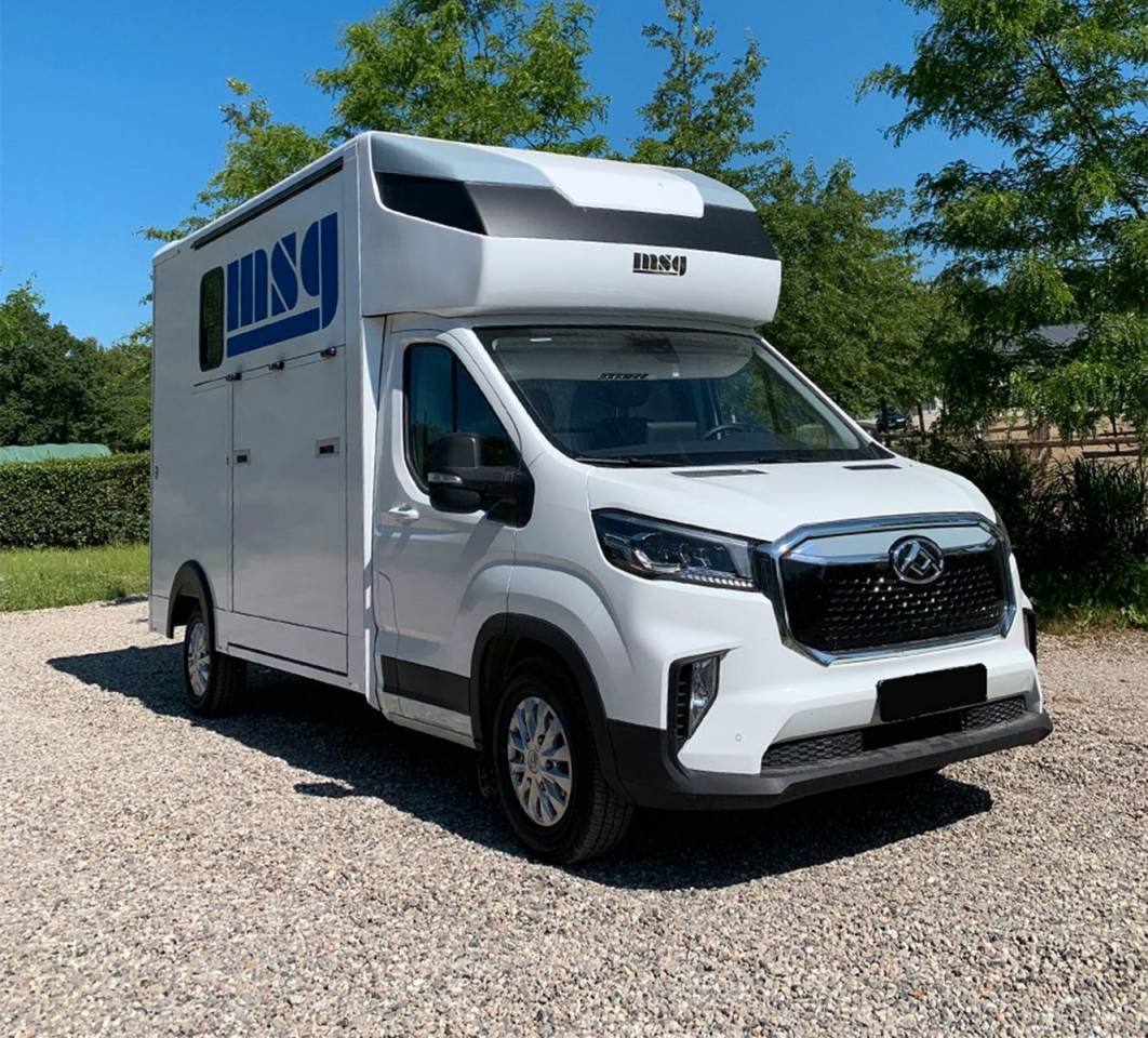 Horsebox HGV Autre marque MAXUS 0 New