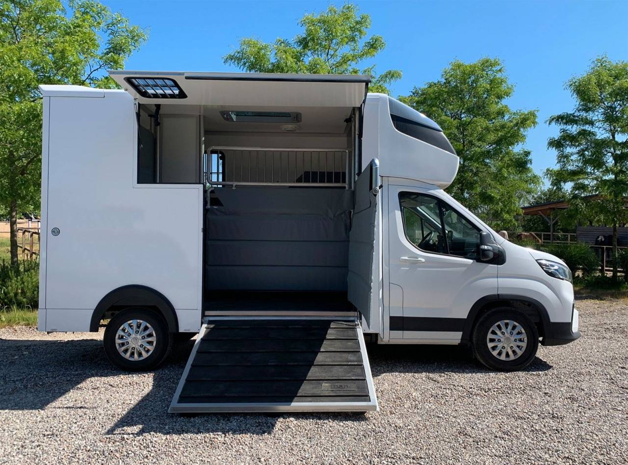 Horsebox HGV Autre marque MAXUS 0 New