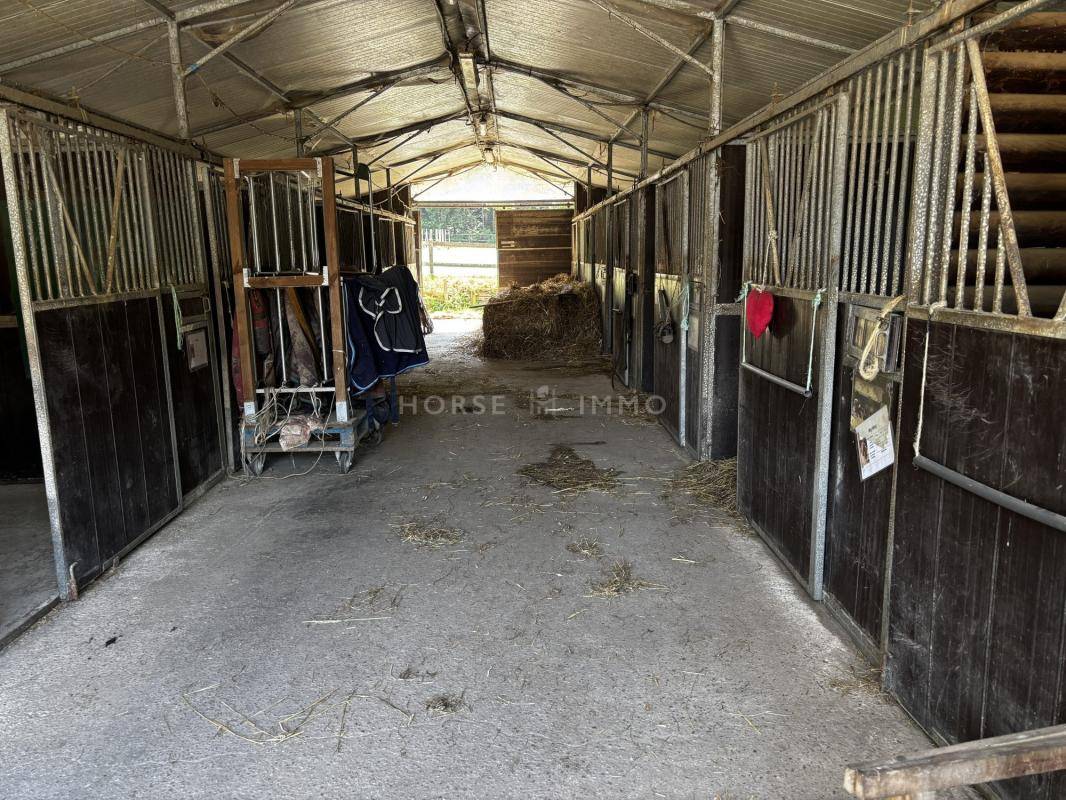 Equestrian property  Morbihan