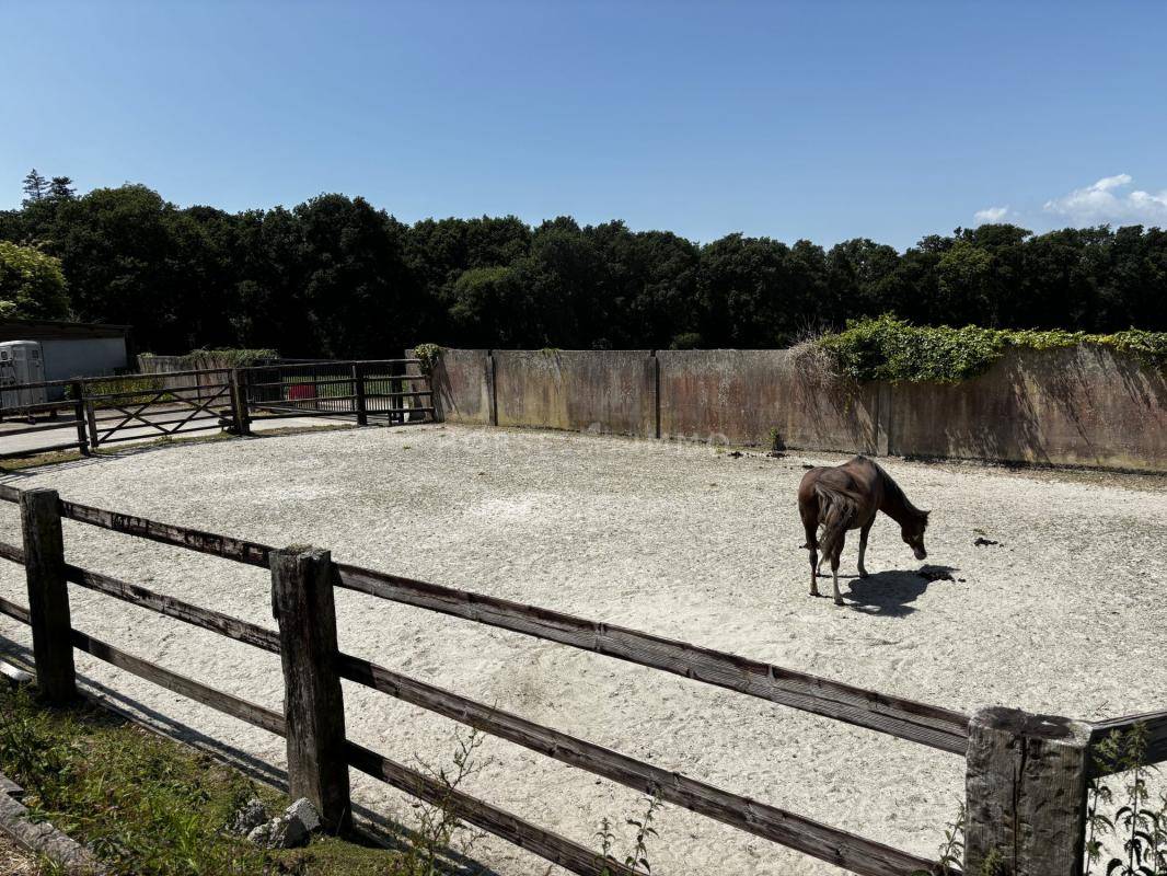 Equestrian property  Morbihan
