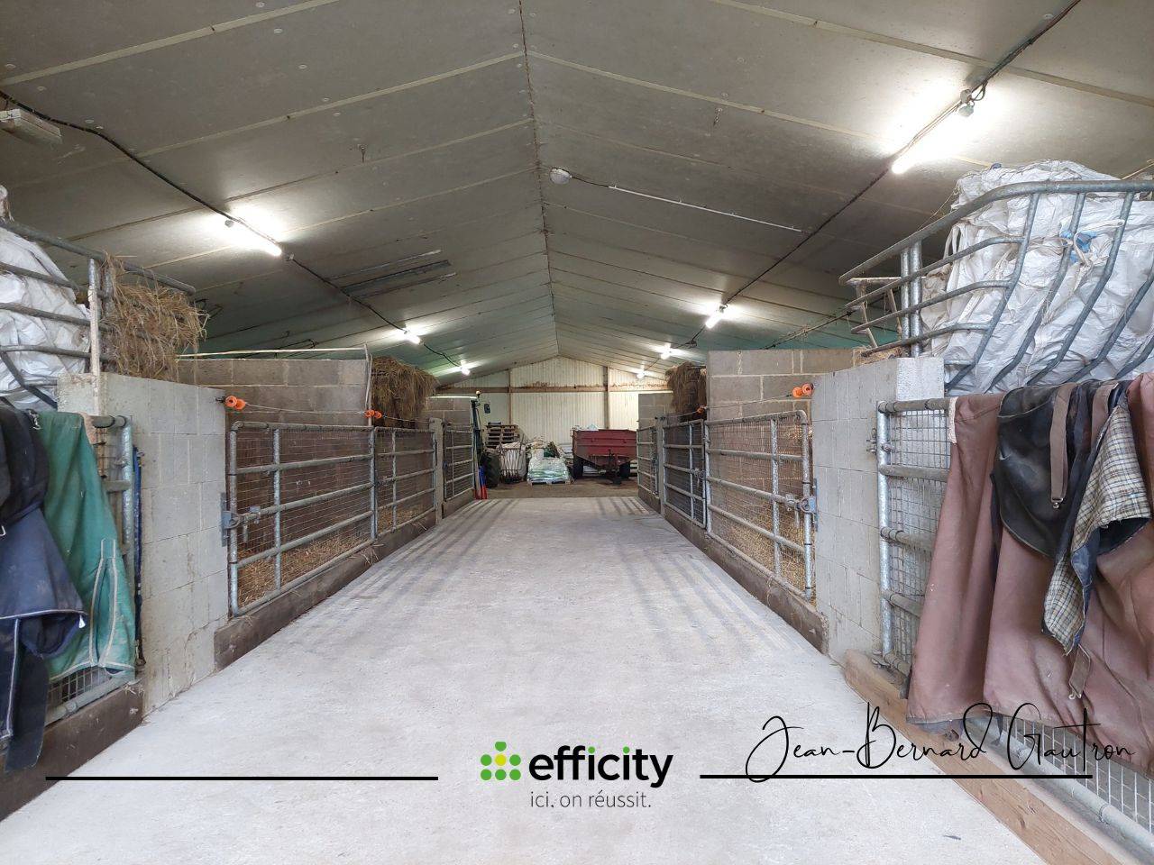 Equestrian property  Côte d'Armor