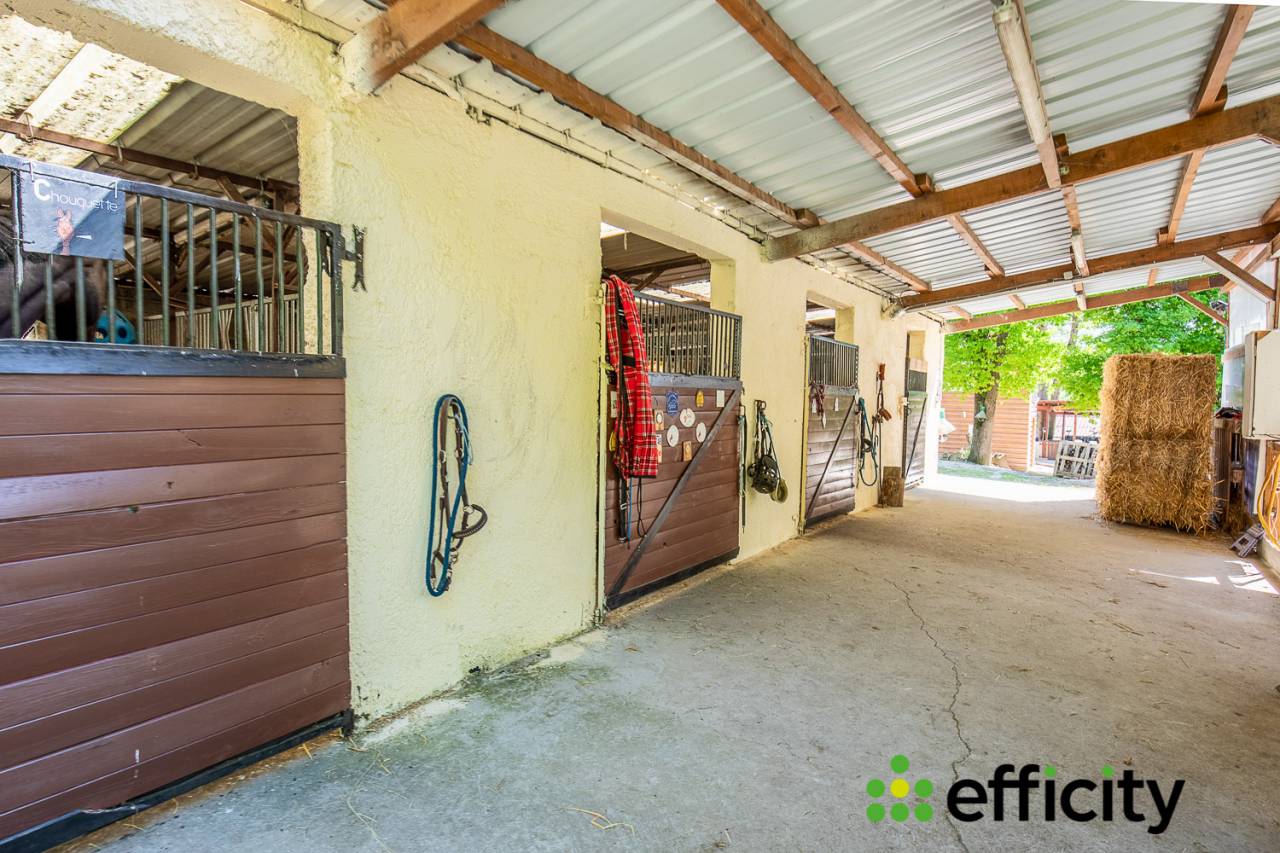 Equestrian property  Yvelines