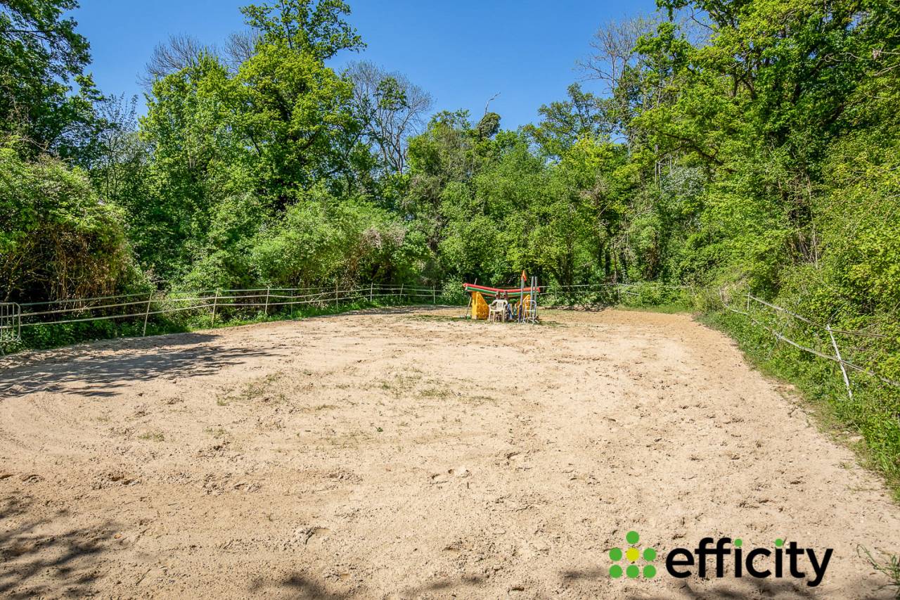 Equestrian property  Yvelines