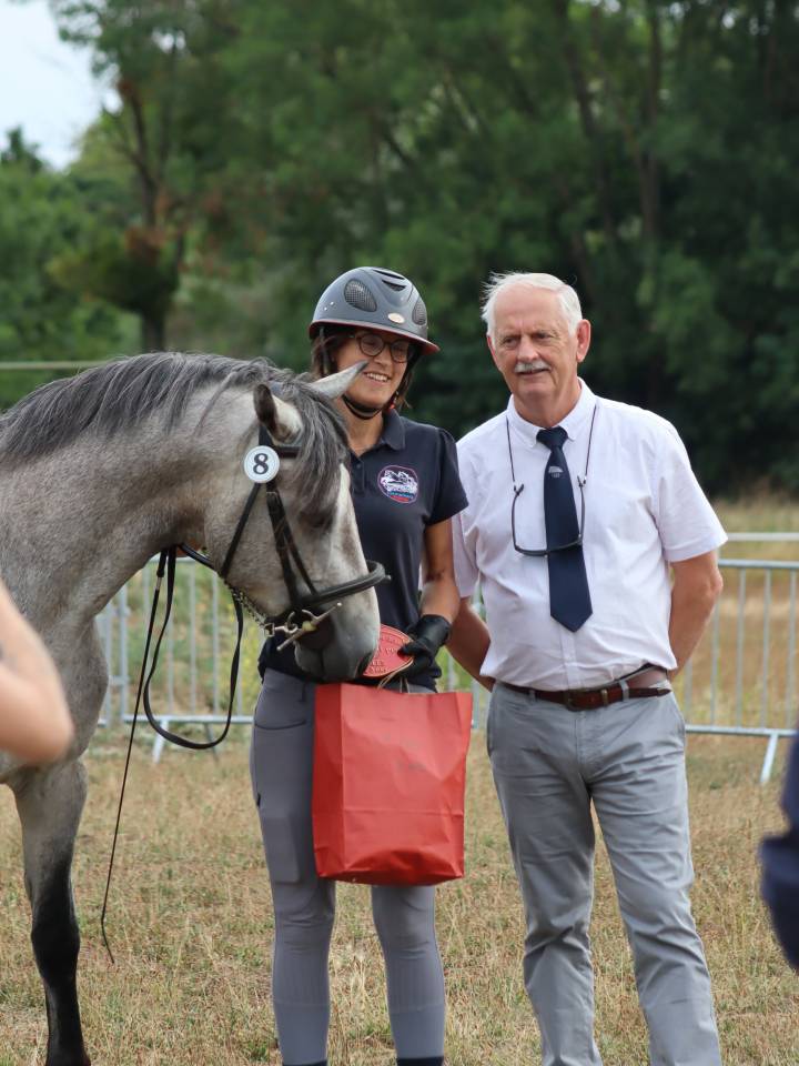 Entire Connemara For sale 2022 Grey