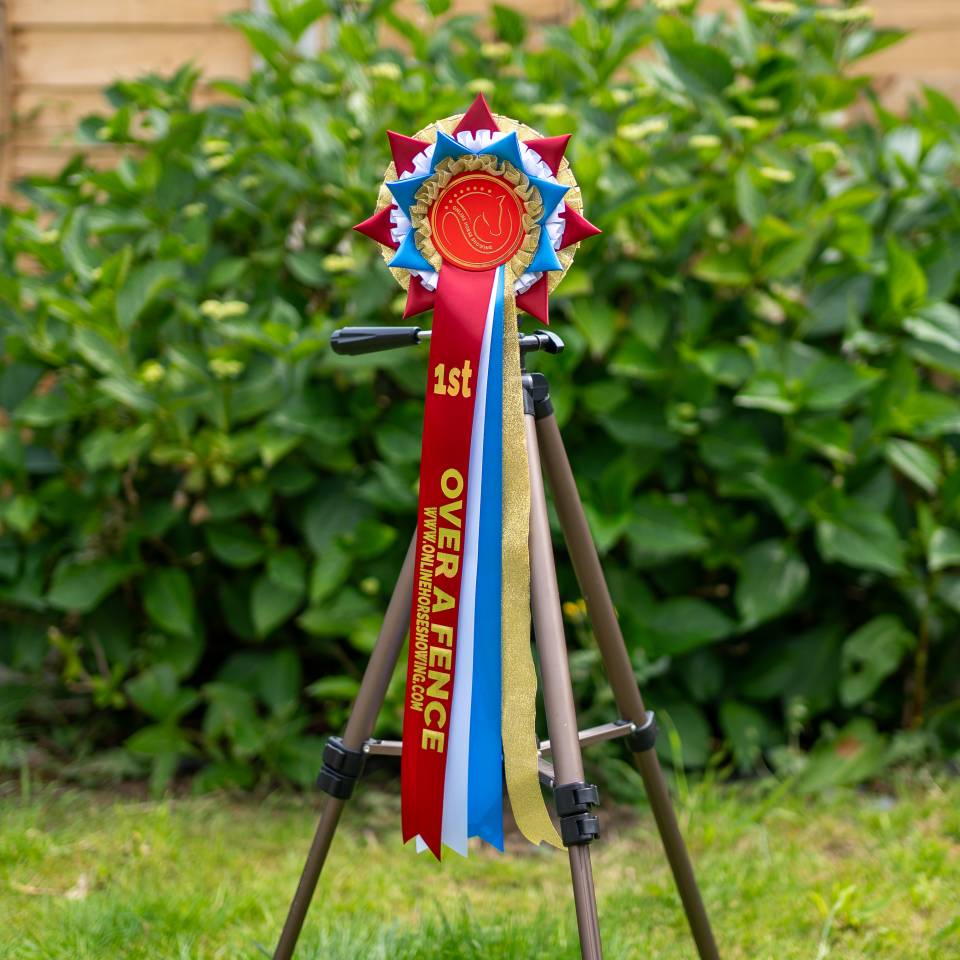 Enter Virtual Horse Shows from Home