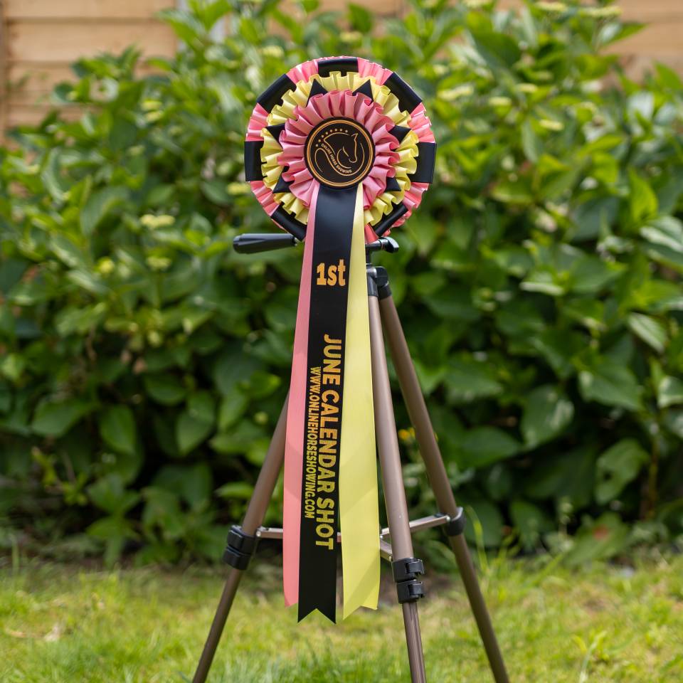 Enter Virtual Horse Shows from Home