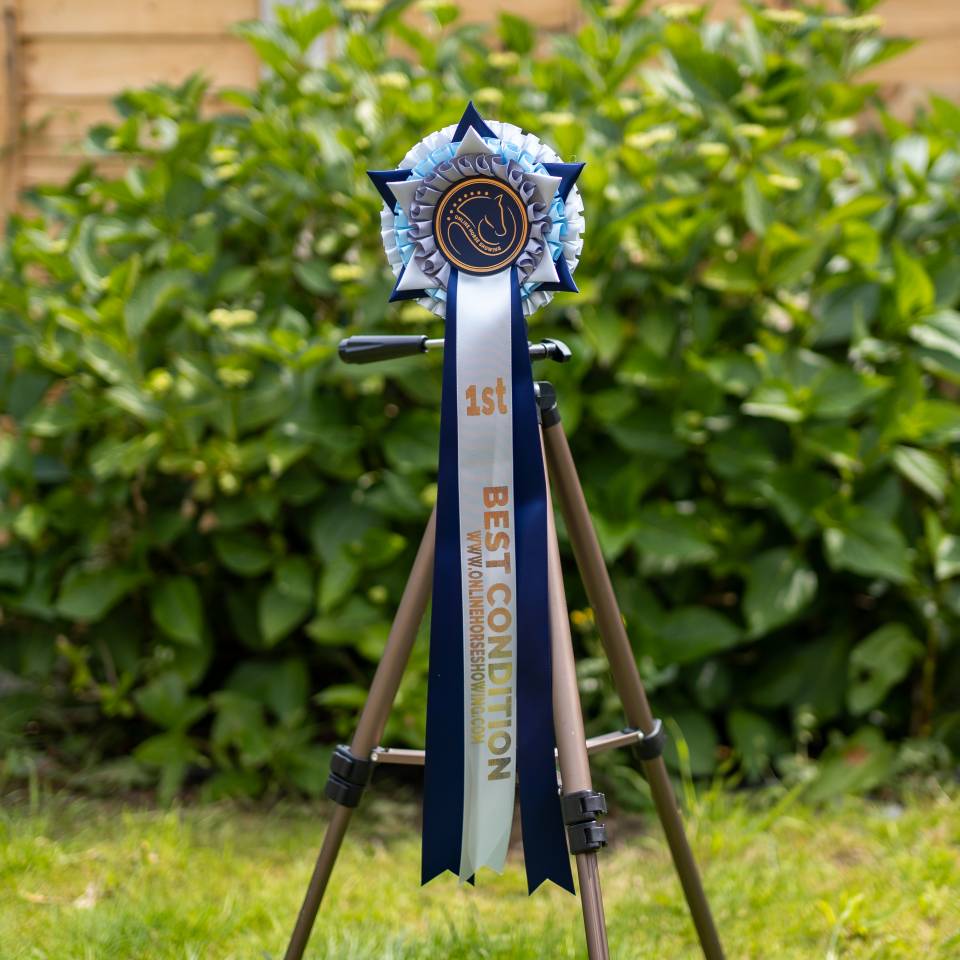 Enter Virtual Horse Shows from Home