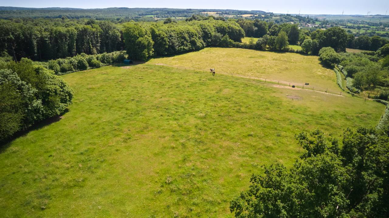 Equestrian property  Sarthe