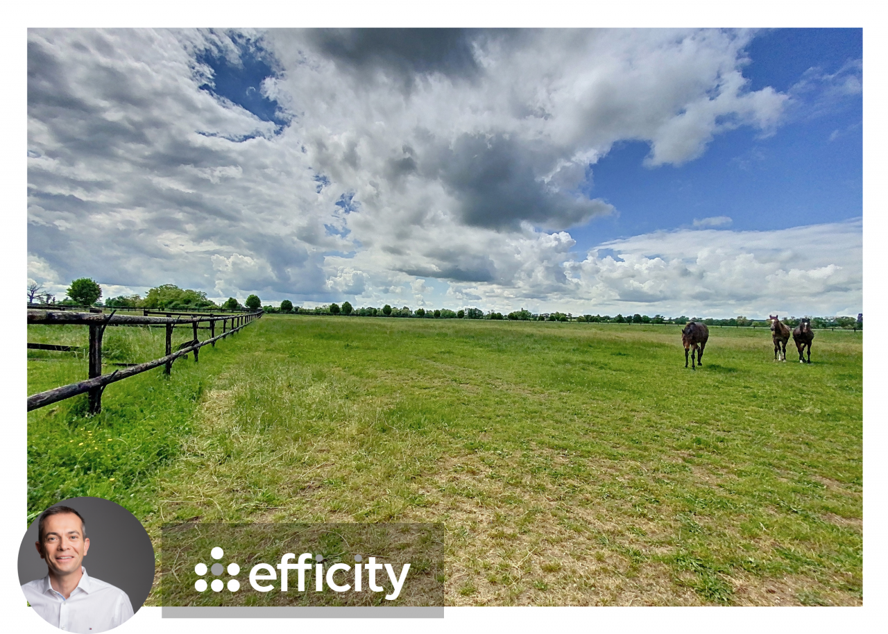 Luxurious equestrian property  Nièvre