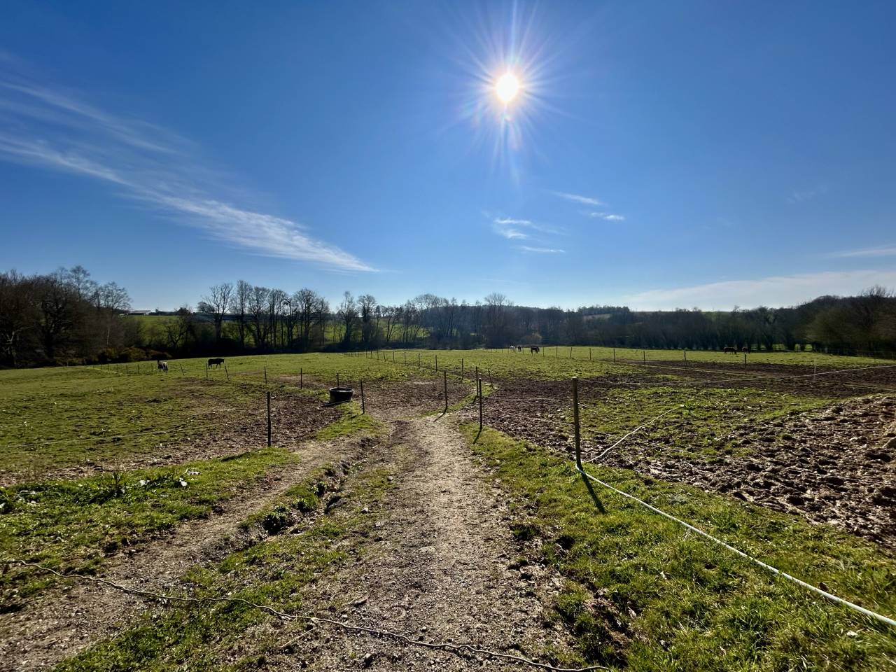 Riding school  Morbihan