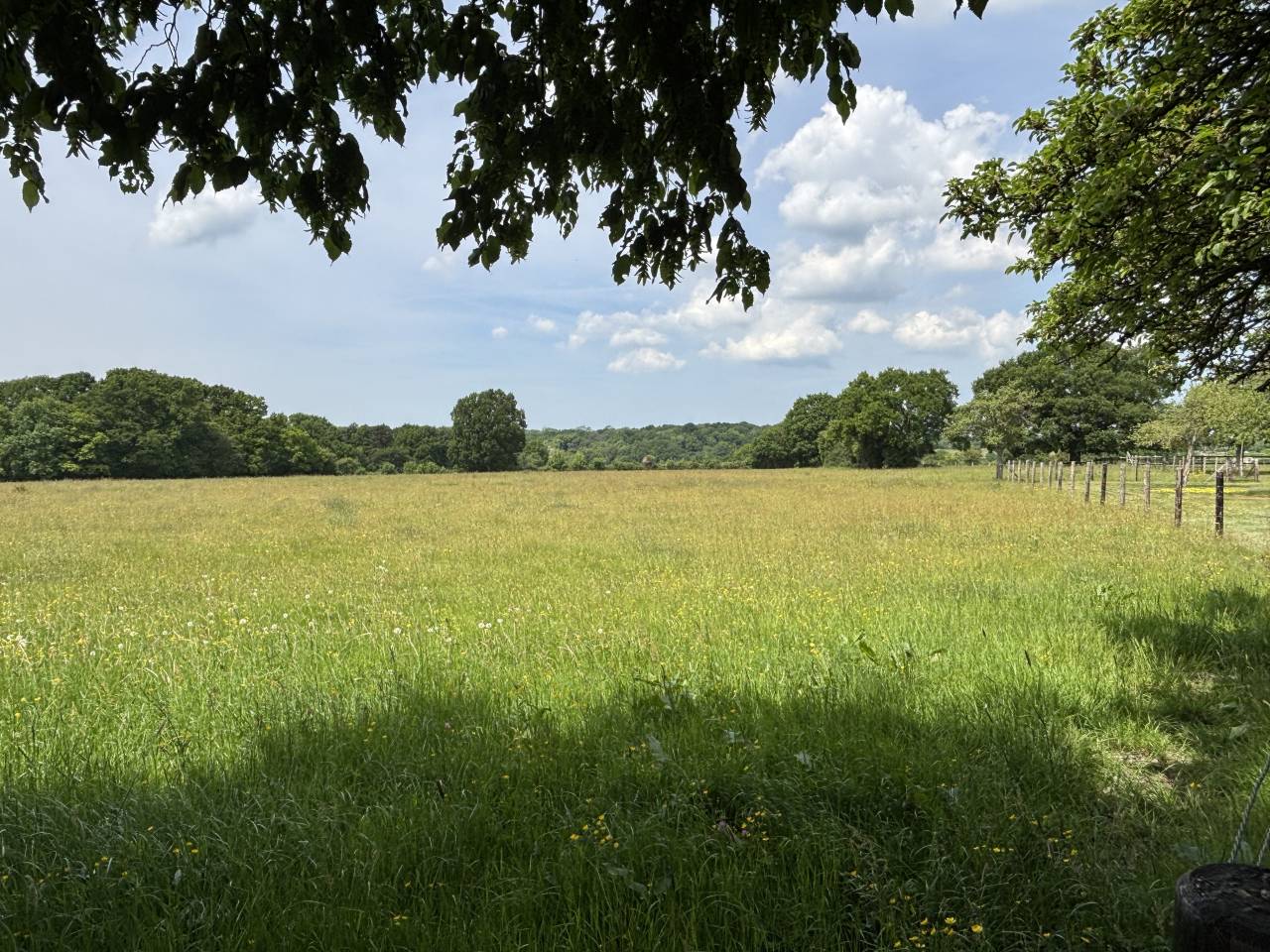 Equestrian property  Calvados