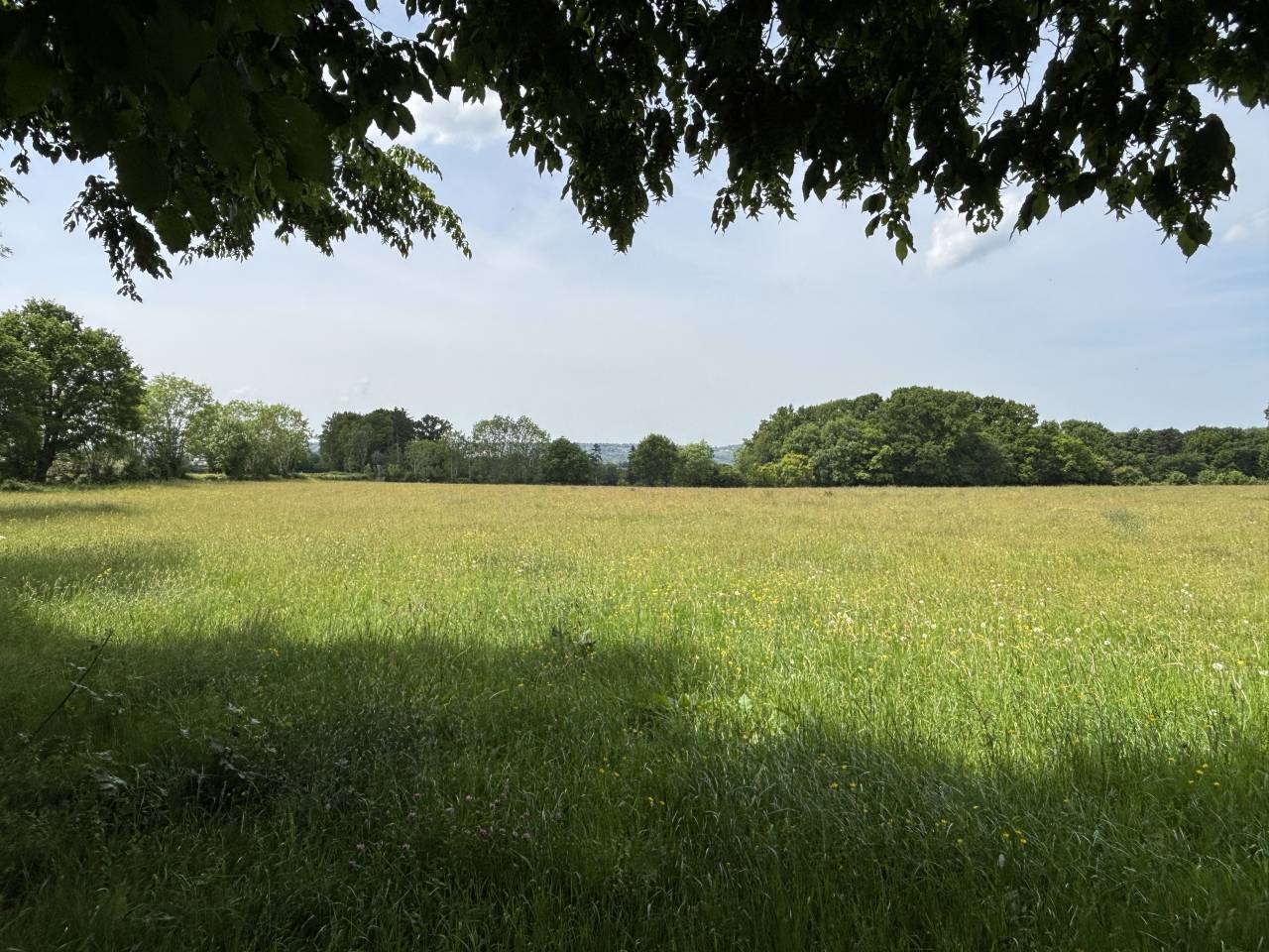 Equestrian property  Calvados