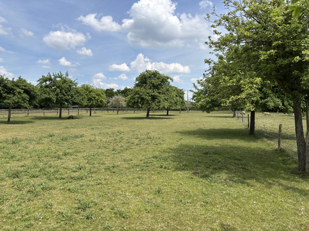 Equestrian property  Calvados