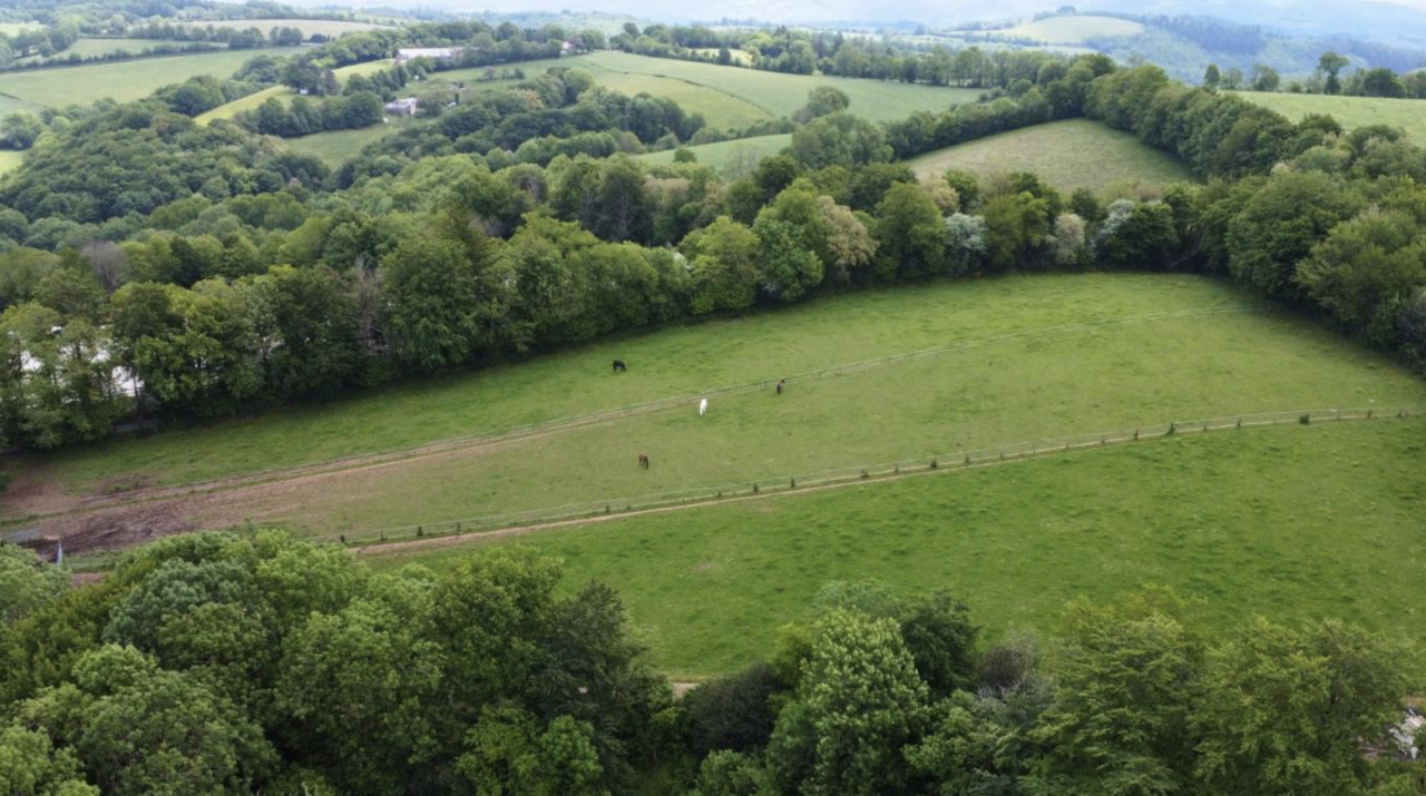 Equestrian property  tarn