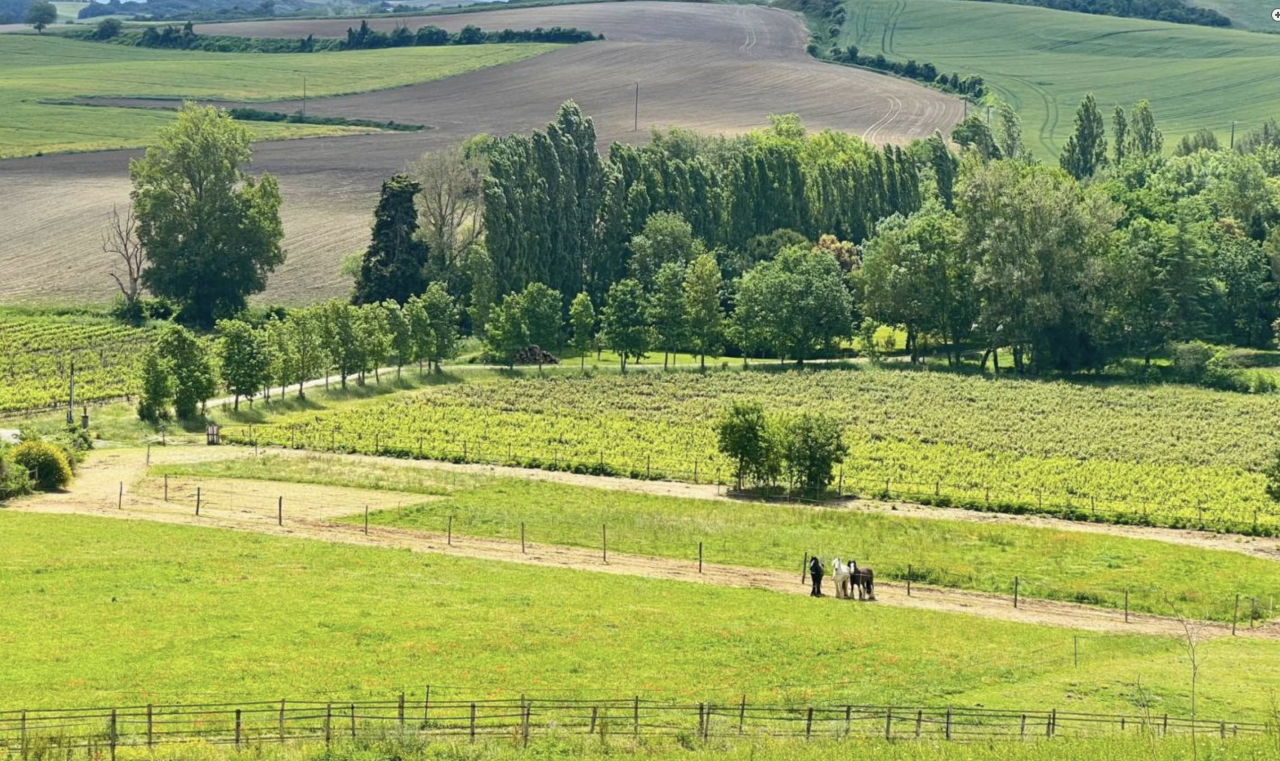 Equestrian property  Aude