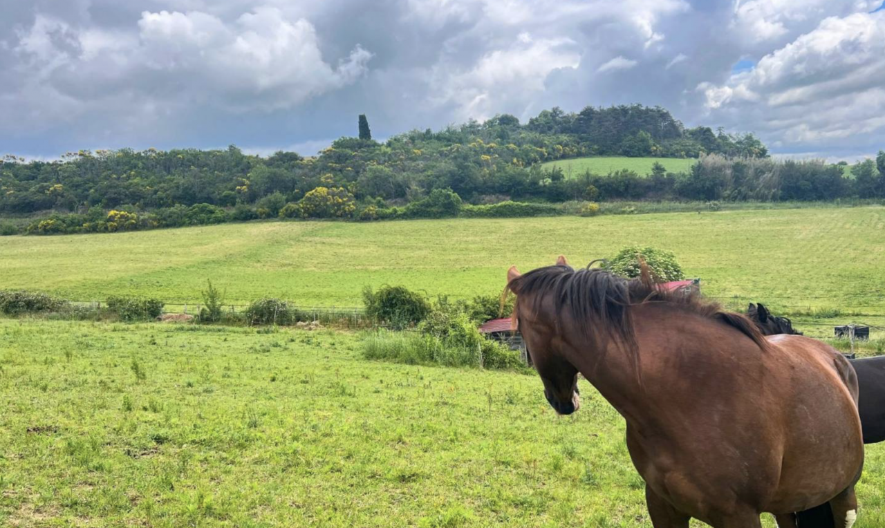 Equestrian property  Aude