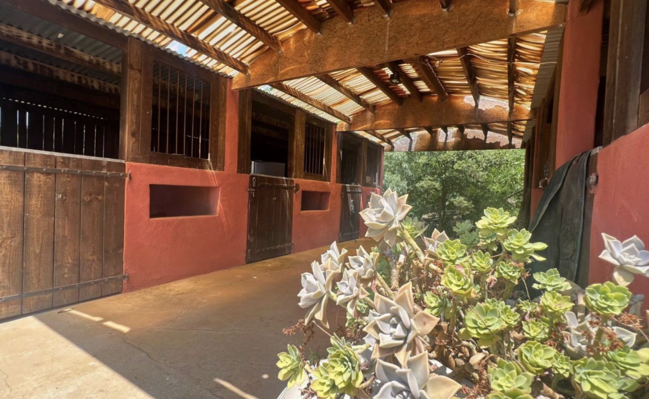 Equestrian property  Hérault