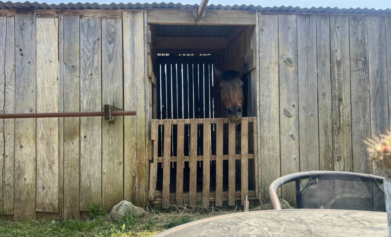 Equestrian property  Hérault