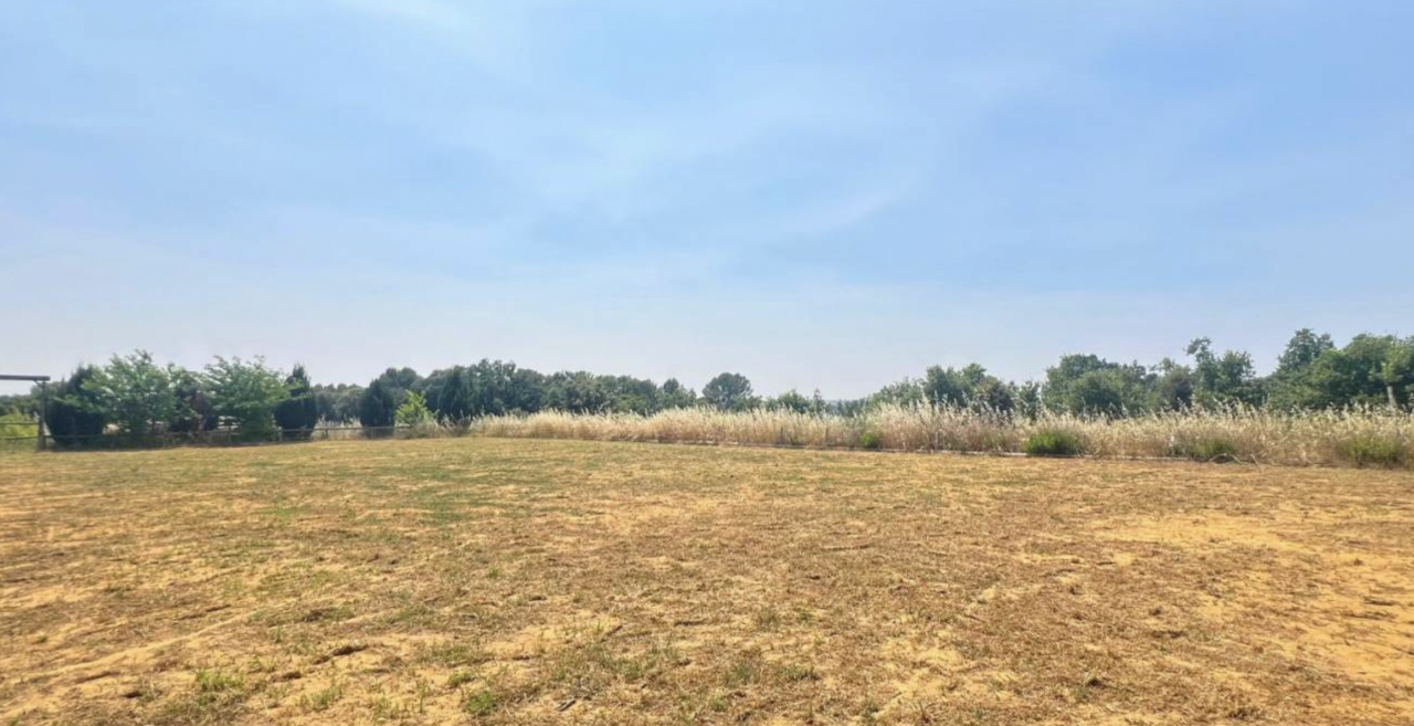 Equestrian property  Hérault