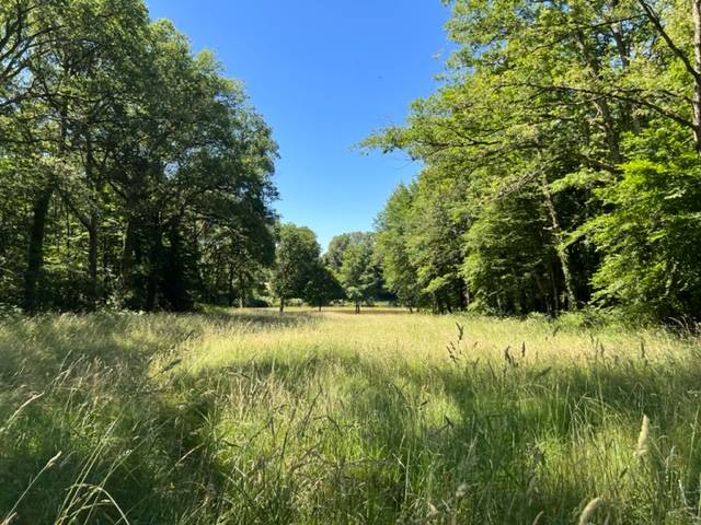 Luxury property  Haute-Vienne