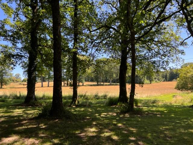 Luxury property  Haute-Vienne