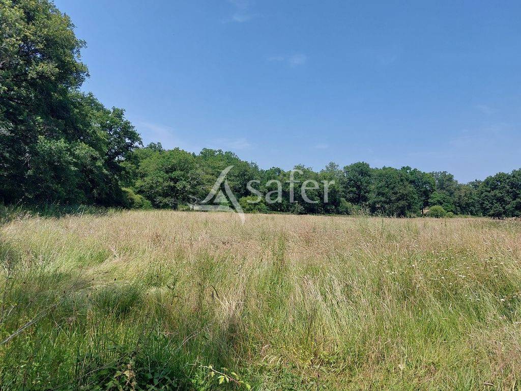 Other country property  Haute-Vienne