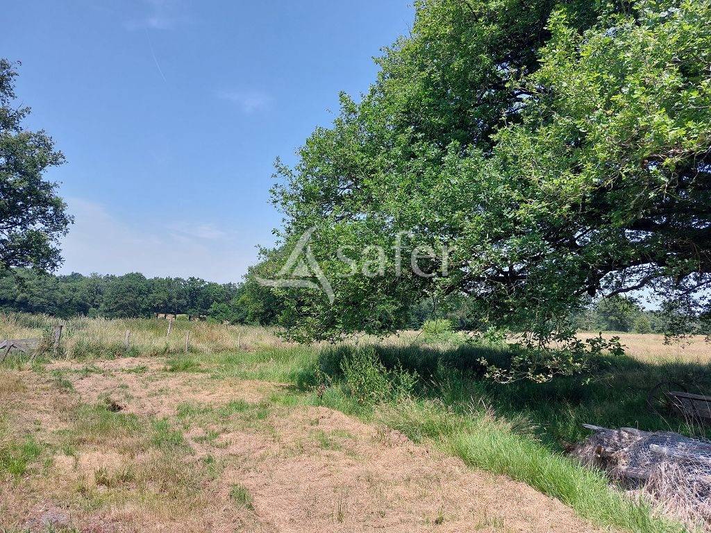 Other country property  Haute-Vienne