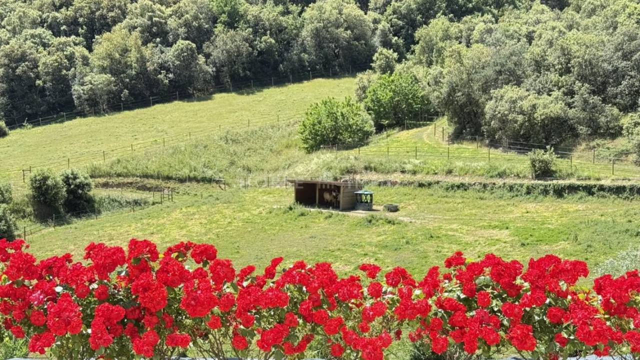Equestrian property  Ardèche