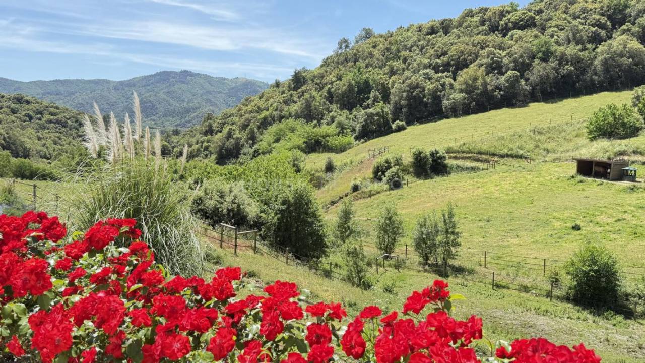 Equestrian property  Ardèche
