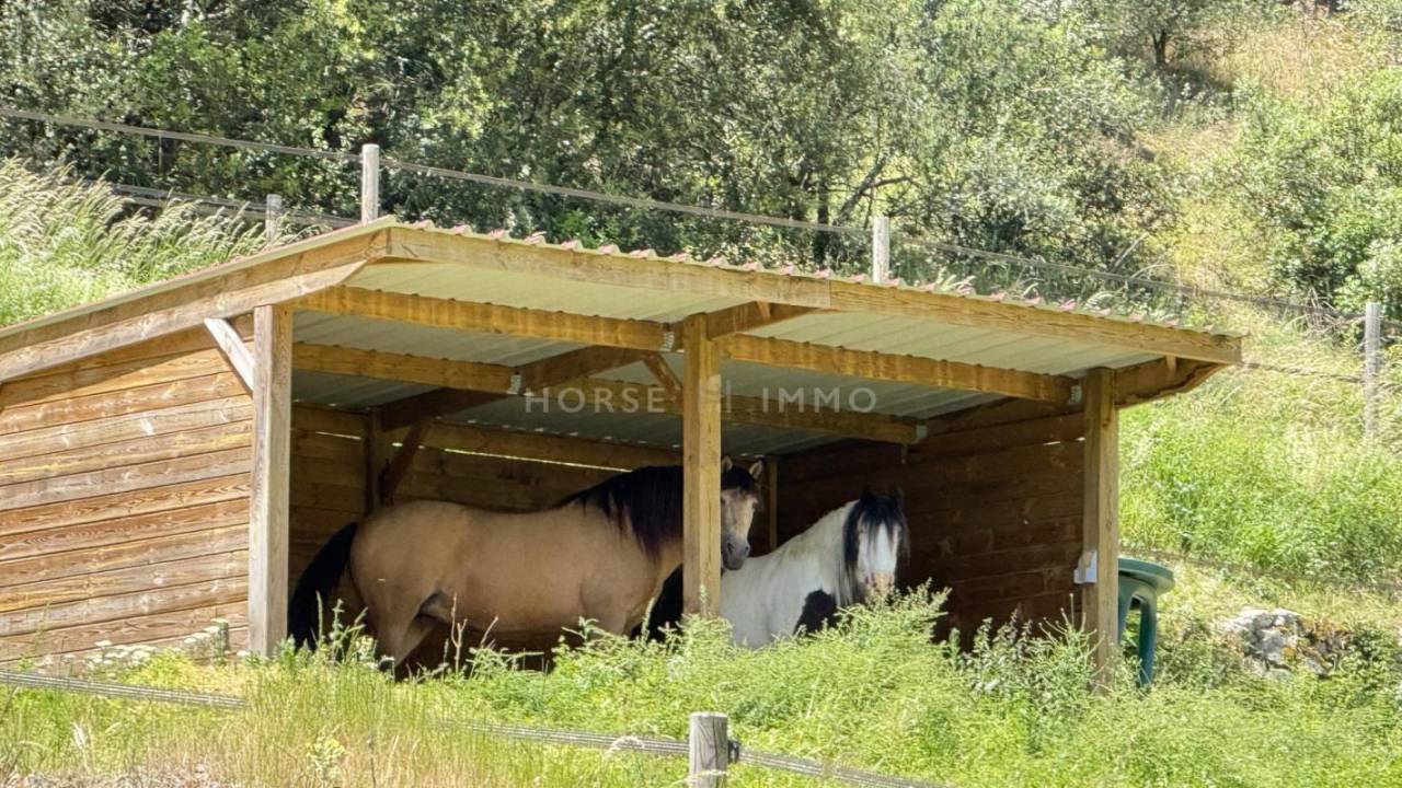 Equestrian property  Ardèche