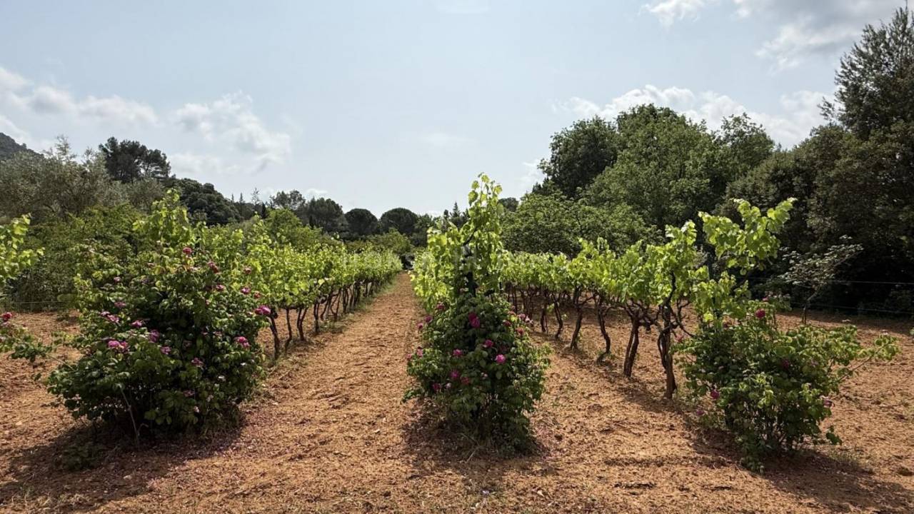 Equestrian property  Var