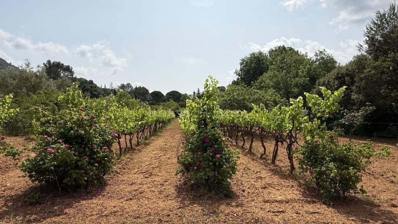 Equestrian property  Var