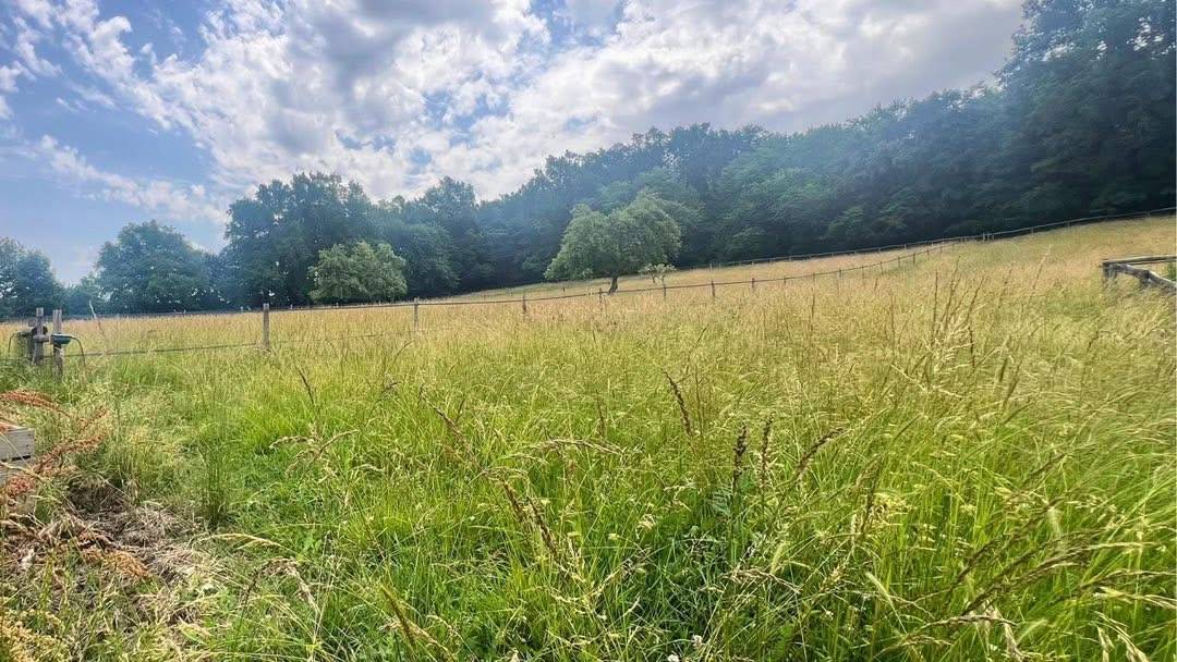 Equestrian property  Tarn-et-Taronne