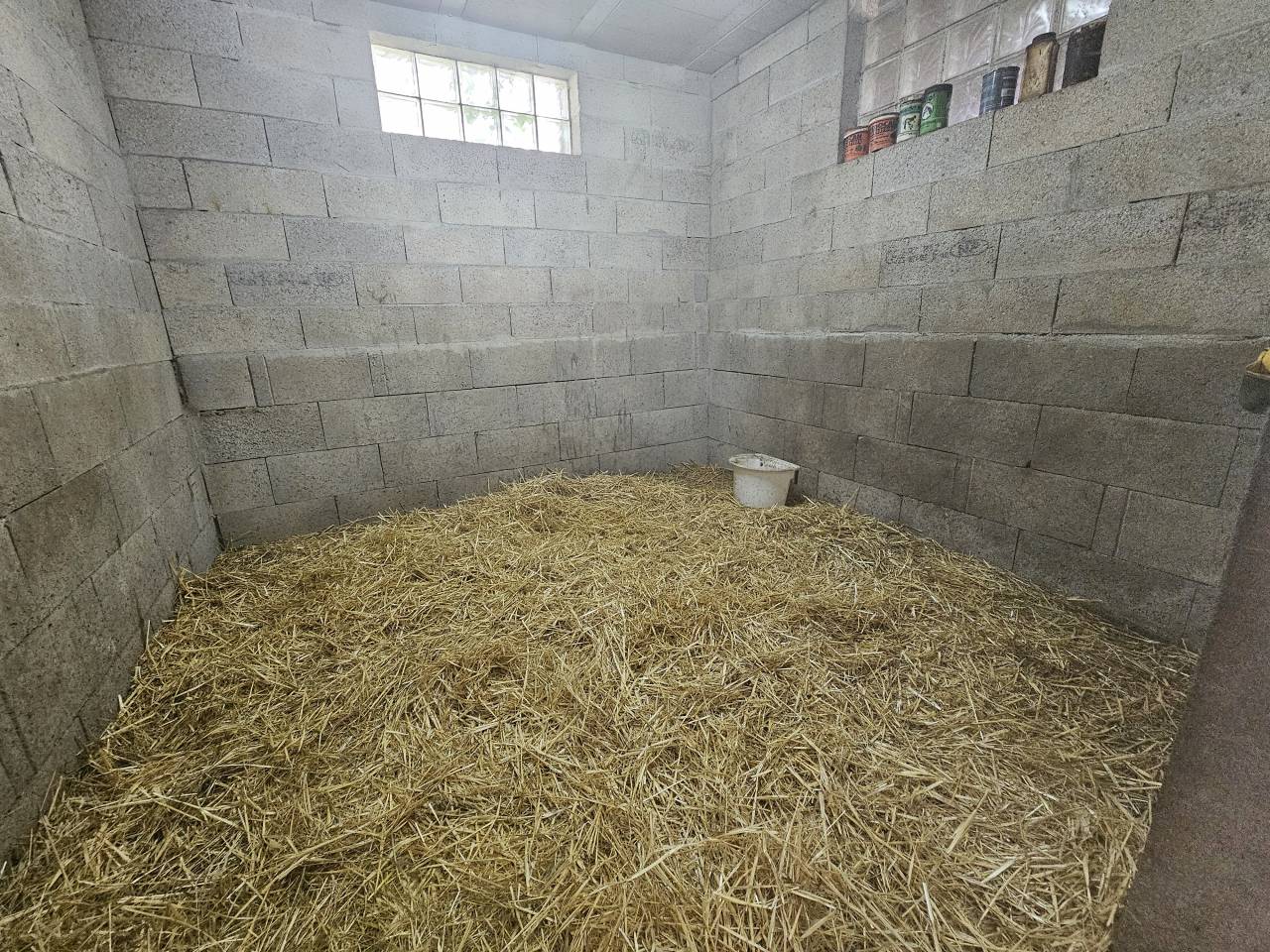 Equestrian property  Charente-Maritime