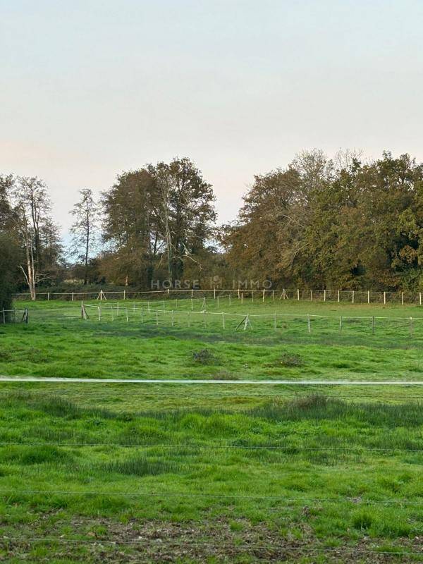Equestrian property  Vendée